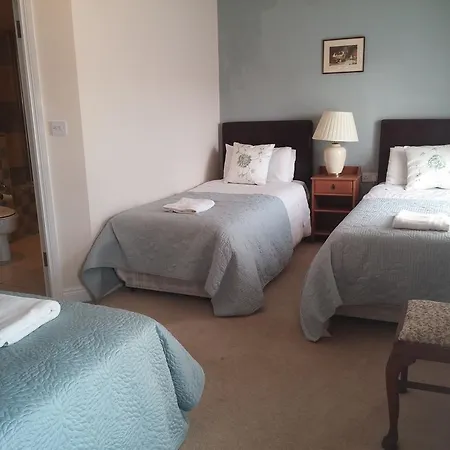 Couette-café Meath Arms Country Aughrim